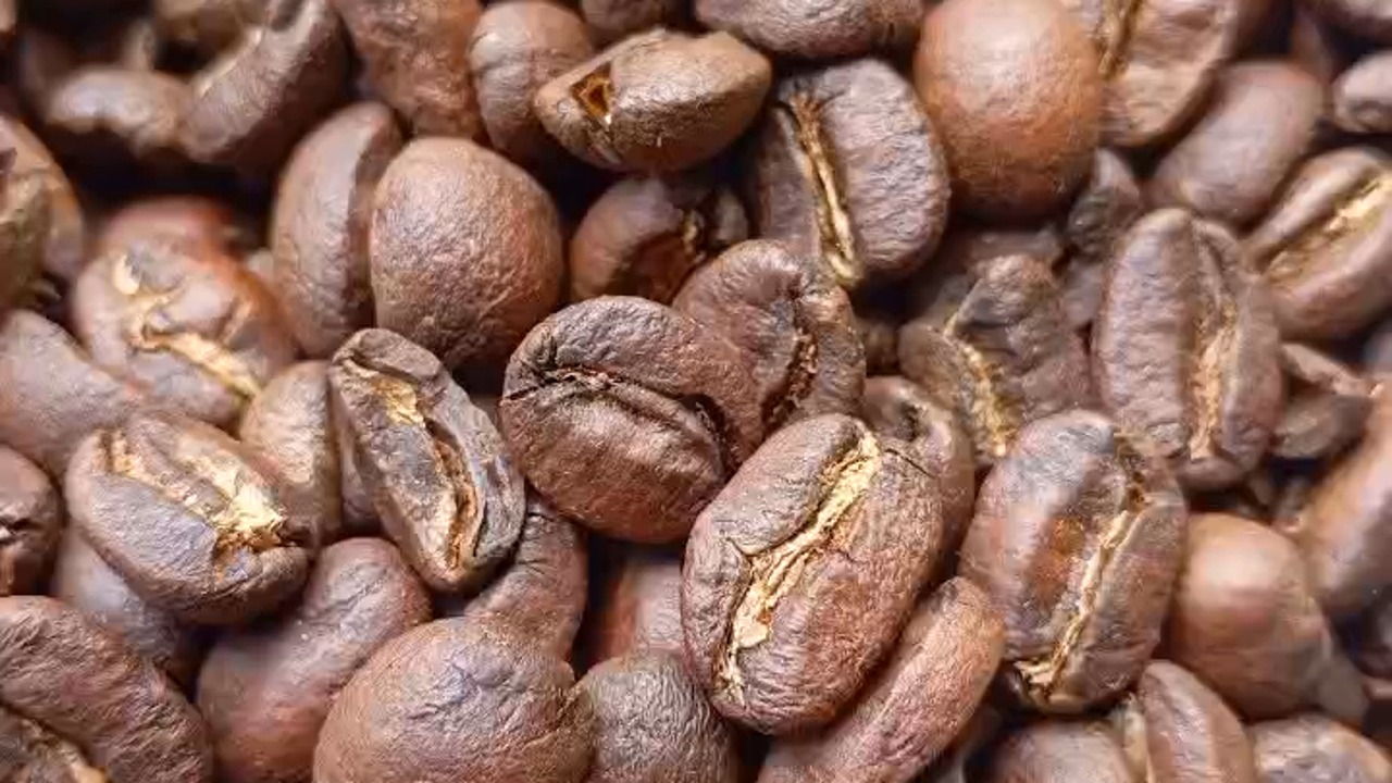 Café tostado Grano Gourmet listo para pasar